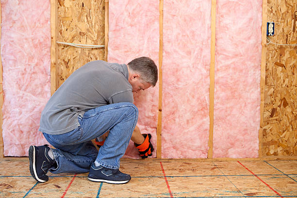 Types of Insulation We Offer in Pupukea, HI